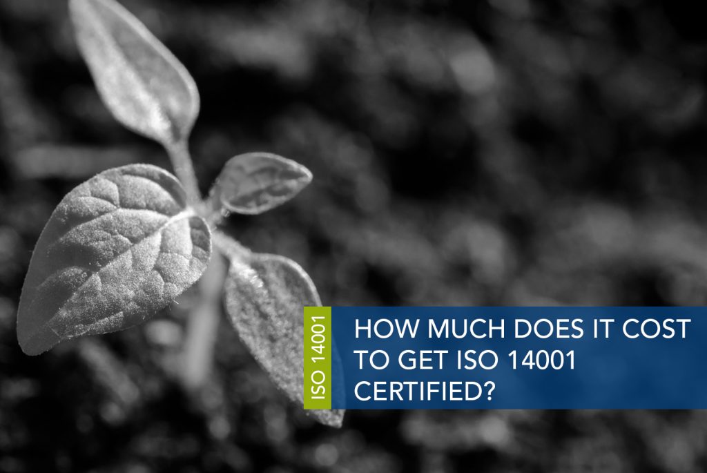 ISO_14001_BODYUK.