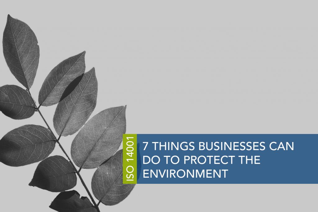 Black and white image of a thin branch with nine leaves on it