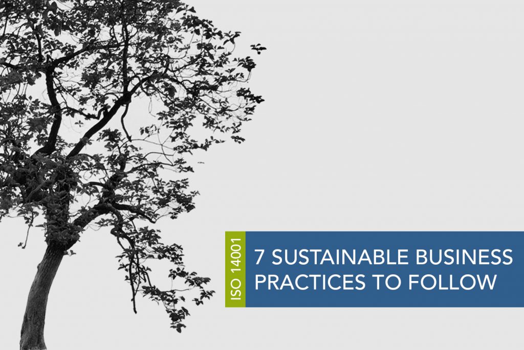 A black and white image of a tree with small leaves and branches.