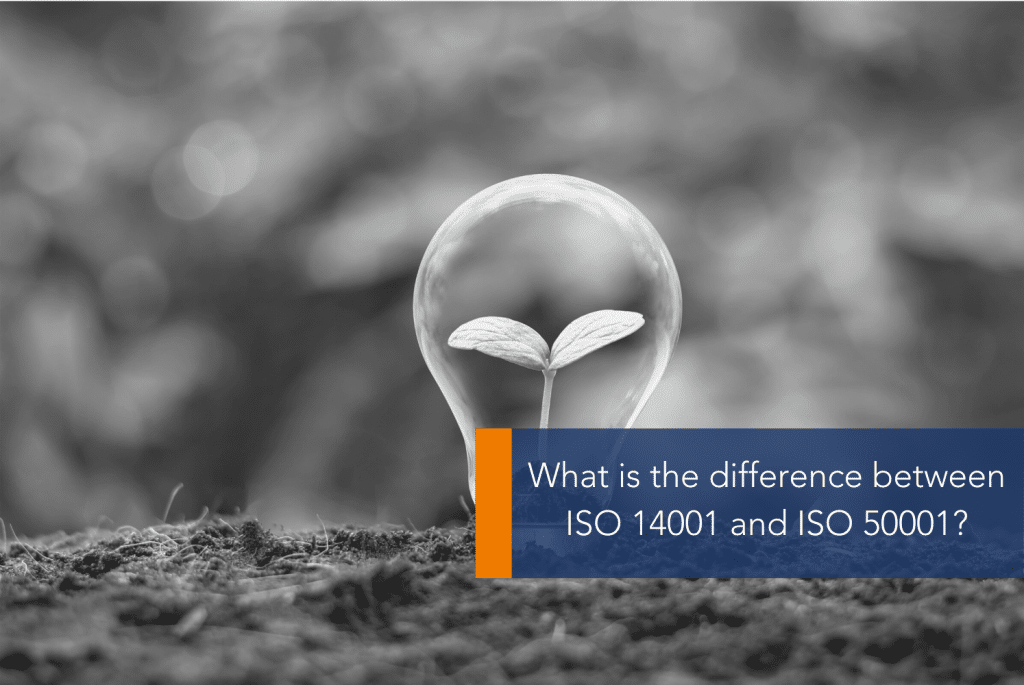 A close up of a plant growing inside a lightbulb